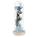16cm Enhanced Dried Flower Glass Cover Display Cloche Jar Dome Wooden Base c