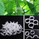 100Pcs Garden Vegetables Tomato Vine Stalks Grow Upright Support Plant Cli EVW