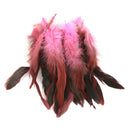 100Pcs Dyed Natural Chicken Rooster Feather Dress Hat Home Party Crafts