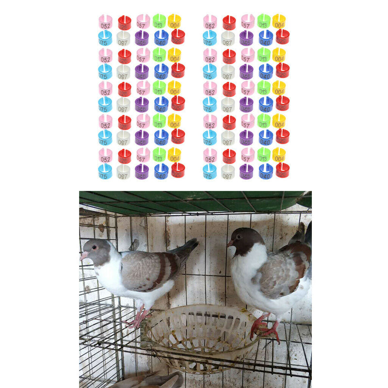 100Pcs Poultry Chick Chicken Duck Automated Management Chip Leg Foot Ring