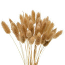 50Pcs Natural Raw Color Dried Flowers Real Flower Bouquet for Home Wedding