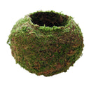 2 Packs 9cm & 18cm Green Moss Ball Decorative Flowers Planters Trays Lanterns