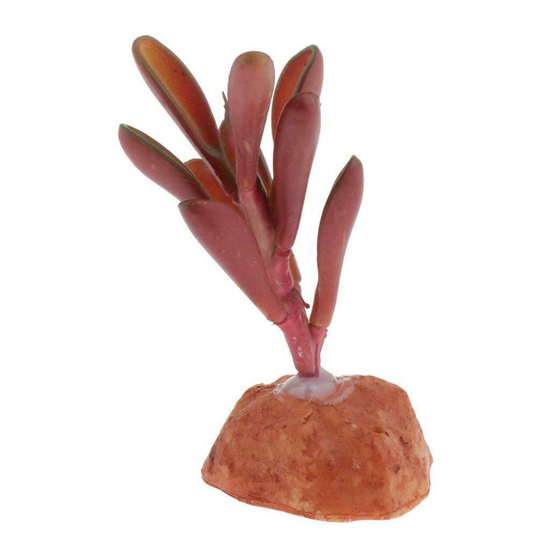 2pcs Artificial Succulent Plants For Aquarium Fish