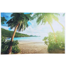 5x3FT Seaside Beach Palm Vinyl Studio Photography Backdrop Photo