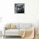 5D DIY Full Drill Diamond Painting Big Grey Cat Cross Stitch Embroidery Kit