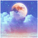 Full Drill Round Diamond Painting Moon Cross Stitch Embroidery Kit (CQ035)
