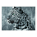 Black White Leopard 5D Animal Diamond Embroidery Full Round Drill Diy Diamo