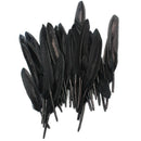 50 Pcs Black Goose Feathers Decor 4-6.5inch/10-16.5cm Long for Craft Works DIY