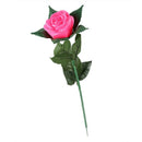 Rose Romantic Outdoor Yard Garden Path Way Tulip Bar Landscape Flower Night R2U5