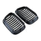Front Kidney Grills Compatible for BMW E46 3 Series 320I 325I 325Xi 323I 32 M4H5