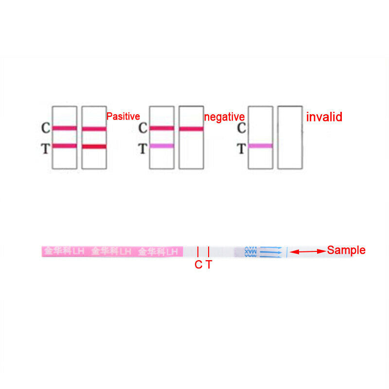 5pcs/box Ovulation Test Strips Urine Testing Kits LH Fertility Test Paper St Gw