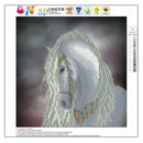 Horse 5D Round Diamond Painting Embroidery DIY Needlework Cross Stitch Set