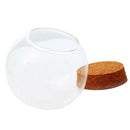 4Pcs Clear Glass Ball Shaped Cover Glass Cloche Globe Succulent Terrarium Bottle