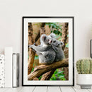 DIY Full Round Drill Diamond Painting Koala Craft Cross Stitch Embroidery