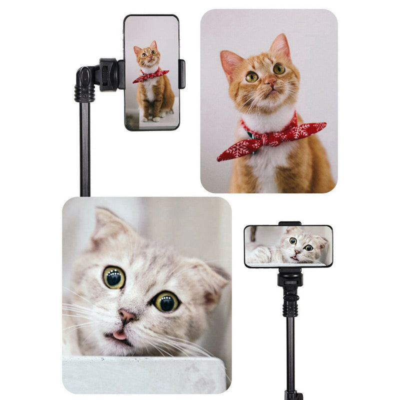 Professional Phone Tripod 160cm Extendable Tripod Stand Cell Phone Holder