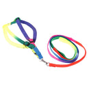 Adjustable Rainbow style Nylon Rabbit Cat Dog collar lead Harness goods for Pets