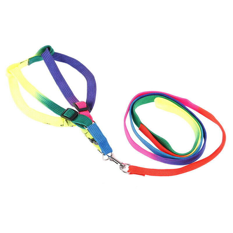 Adjustable Rainbow style Nylon Rabbit Cat Dog collar lead Harness goods for Pets