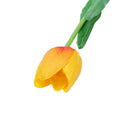10pcs Tulip Flower Latex Real Touch for Wedding Bouquet Decor Best Quality