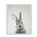 2Pcs Art Oil Painting Print Canvas Picture Rabbit Home Wall Decor 30x40cm