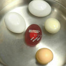 Kitchen Egg Perfect Color Changing Timer Yummy Soft Hard Eggs_Cooking V1Y1