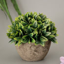 Plastic Artificial Potted Plants Green Grass -13cm / 5.12''(Height)-Green