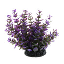 Aquarium Reptile Simulation Water Grass Landscaping Plant Purple