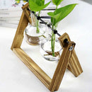 Creative bulb vase plant glass hydroponic container farm decoration wooden  P9J7