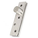 100mm Length Stainless Steel 360 Degree Door Pivot Hinge Hardware