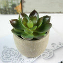 3Pcs Artificial Succulent Potted Plant Small Pots 7/8/14cm Indoor Outdoor Decor