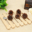 4Pcs Natural pine cones 2-3cm size quality pinecone florists crafts decorativeJR