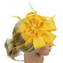 2x Lady Feather Fascinator Clip Hair Bridal Race Derby Pillbox Hat Headband