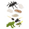 Plastic Life Cycle of Frog Ant Playset Cognitive Biology Toys Themed Party