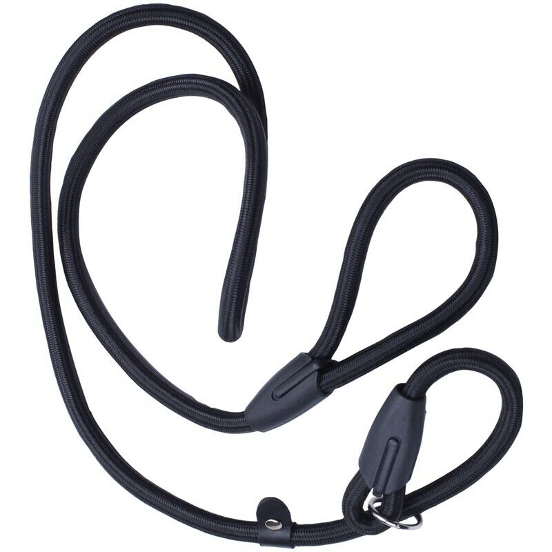 52inch Strong Nylon Rope Pet Dog Slip Training Leash Walking Lead Collar (B