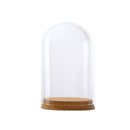 Glass Display Cloche Bell Jar Plants Flower Preservation Vase Wood Cork L