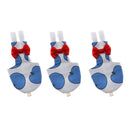 3 x Cloth Breathable Cockatiel Parrot Bird Diaper Nappy Flight Suit - Pet Bird