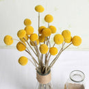 20Pcs Golden Ball Dried Flower Bouquet DIY Home Wedding Party Floral Decoration