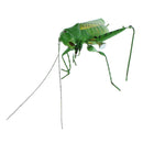 2 Pieces Magnetic Lifelike Ladybug & Katydid Clay Insects Bugs Figures Realistic