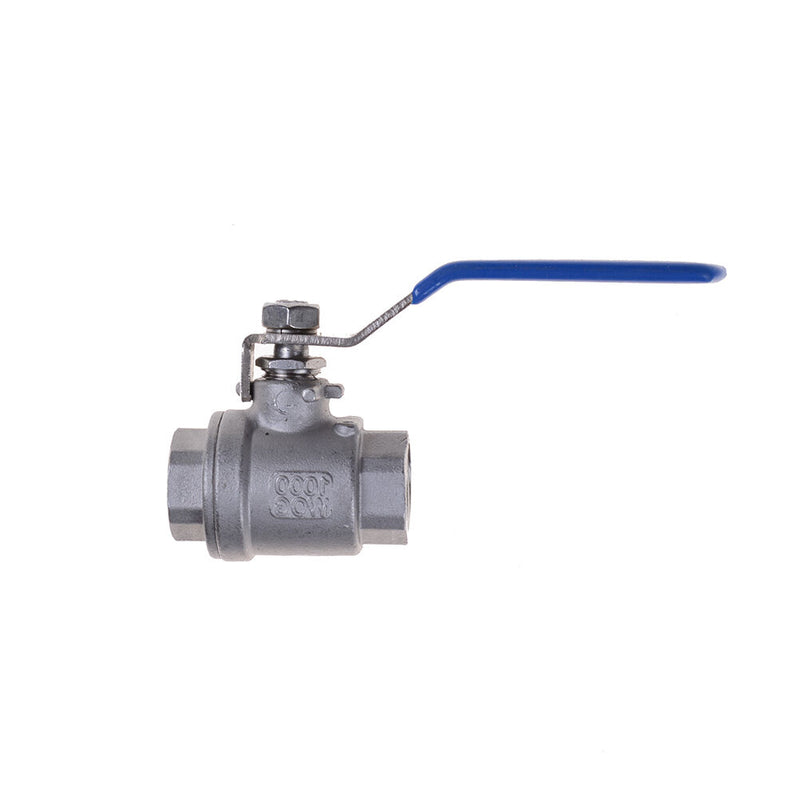 1/2" Female SS 304 Stainless Steel Full Port Ball Valve Vinyl Handle WOG1000 Vh