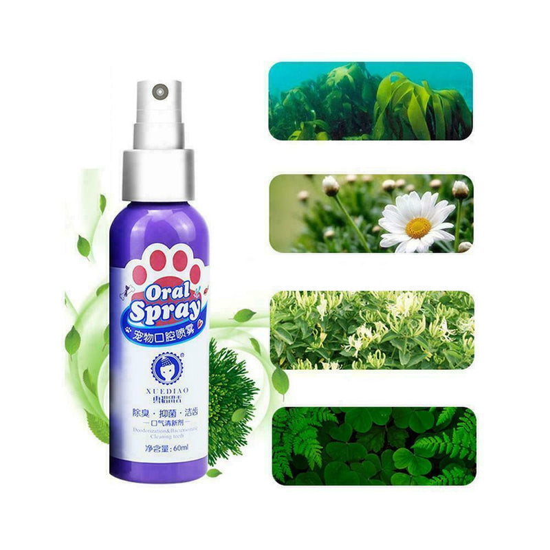 Pet Teeth Breath Cleaning Freshener Dog Cat Dental Care Best Spray 60ml Cle P6C3