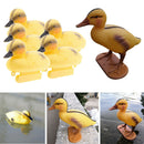Set of 6 Cute Mandarin Duck Statues Simulation Duck Garden Pond Ornaments