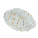 Mini Reptile Hiding Cave Landscape Ornament +Aquarium Reptile Terrarium