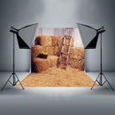 Autumn Village Photography Backdrops Photo Background Studio Video Decor