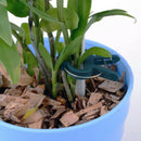 80Pcs Tree Plants Flower Seedling Stem Support Plastic Spring Clips Set HPZ