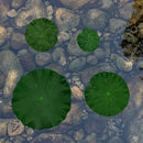 8Pcs Artificial Simulation Lotus Leaves Floating Foam Lotus Leaves Water LilD9I2
