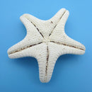 2pcs Natural Starfish Sea Star shell Making DIY Craft Decor X7C4