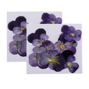 24pcs Natural Violet Real Dried Flowers Embellishments Nail Art Accessories
