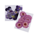 22Pcs Dried Pressed Flowers Butterfly Shape Scrapbooking Art Crafts Specimen