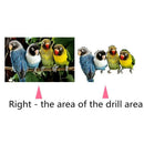 Diy Diamond Painting Parrot Animal Full Drill Rhinestone Cross Stitch Kits  U5K8