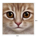 DIY 5D Diamond Embroidery Mosaic Cat Face Painting Cross Stitch Home Decor