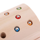 Worm Catching Insect Catch Game Montessori Educational Wood Toys